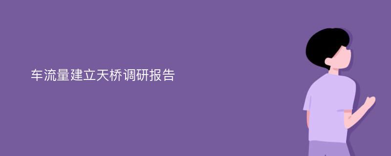 车流量建立天桥调研报告