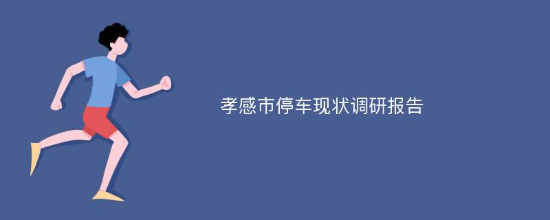 孝感市停车现状调研报告