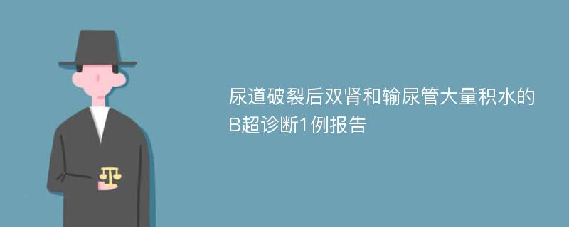 尿道破裂后双肾和输尿管大量积水的B超诊断1例报告