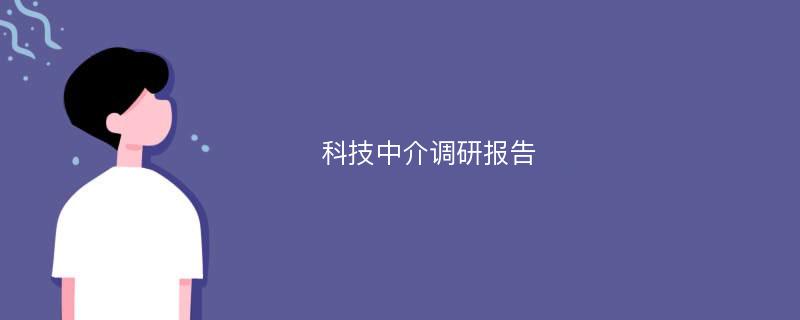 科技中介调研报告